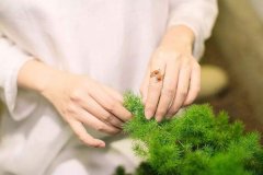 女生左手食指戴戒表示什么