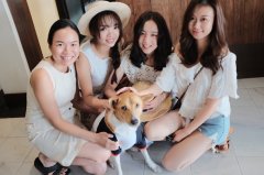 泰国苏梅岛，清迈行，来自一个摄影团队的贴心