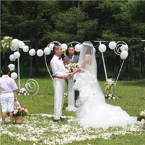 草地婚礼教你如何省钱 草坪户外婚礼的色彩布置