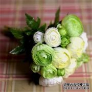 2019新娘手捧花图片 婚礼手捧花选什么好
