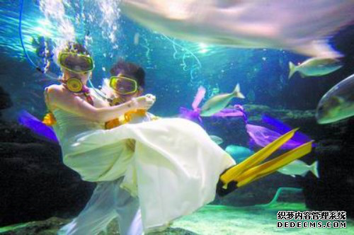 海底婚礼 浪漫刺激的海底世界1.png