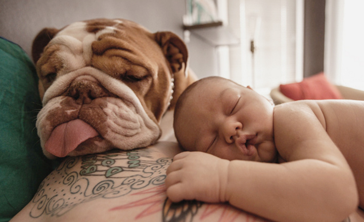 毛小孩与小宝贝 – 20张超可爱狗狗与婴儿的成长