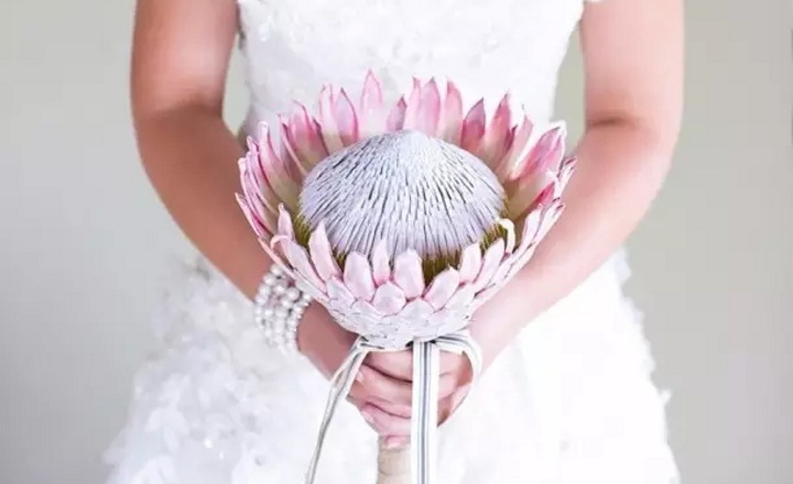 这些花艺知识都记不住，如何做策划师？