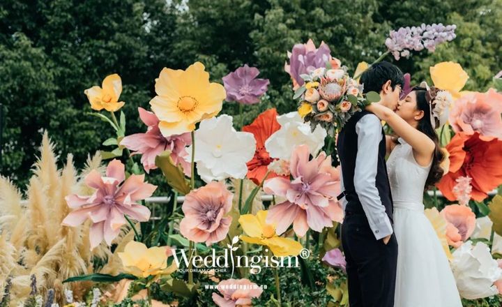 真实婚礼: 宫崎骏式的爱情，幸福有时候比我们想