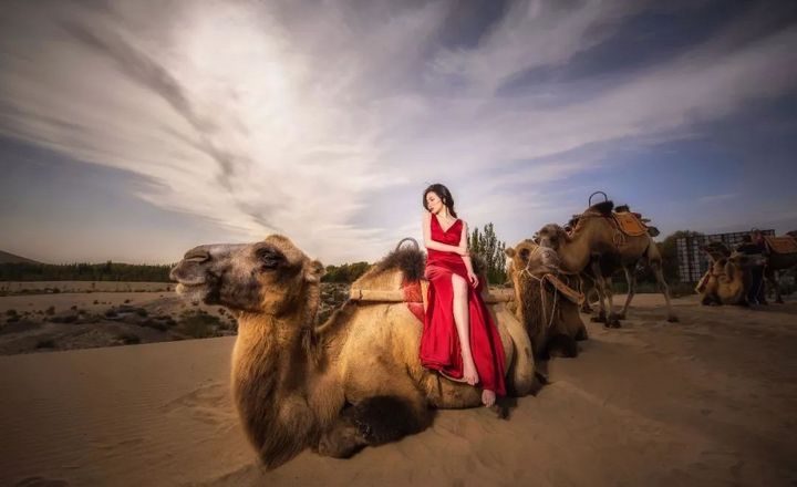 真实婚礼: 你没有七彩祥云，那我就骑着骆驼去沙